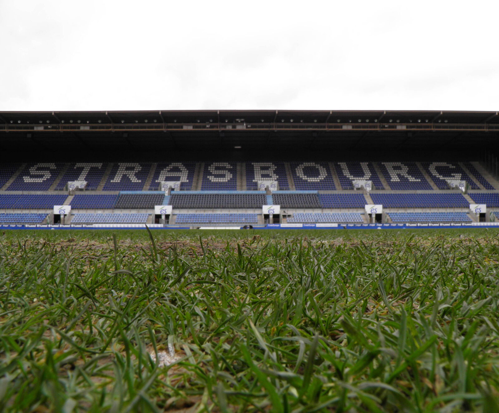 Vue depuis la pelouse du stade de la Meinau à Strasbourg, en configuration match